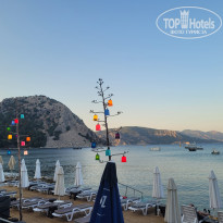 фото из отзыва ID 2703283