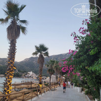 фото из отзыва ID 2703283