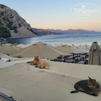 фото из отзыва ID 2703283