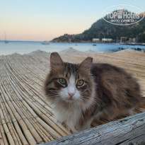 фото из отзыва ID 2703283