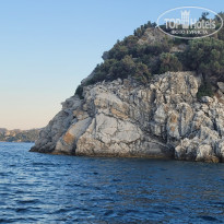 фото из отзыва ID 2703283