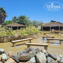 фото из отзыва ID 2703283