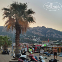 фото из отзыва ID 2703283