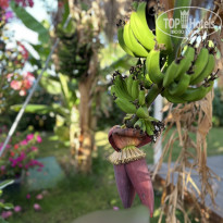 фото из отзыва ID 2703405