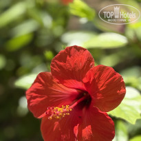 фото из отзыва ID 2703656