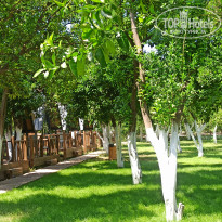 фото из отзыва ID 2703841