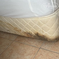 фото из отзыва ID 2703907