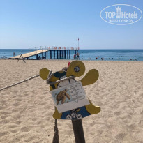 фото из отзыва ID 2704019