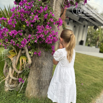 фото из отзыва ID 2704676