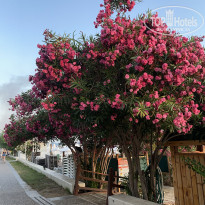 фото из отзыва ID 2704728
