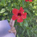 фото из отзыва ID 2704741