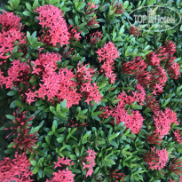 фото из отзыва ID 2704774
