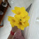 фото из отзыва ID 2704768