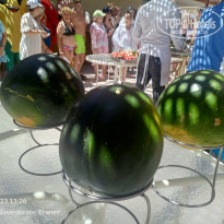 фото из отзыва ID 2704965