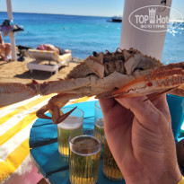 фото из отзыва ID 2704970