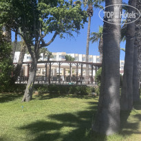 фото из отзыва ID 2704999