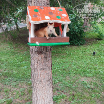 фото из отзыва ID 2705025