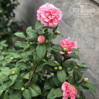 фото из отзыва ID 2701494