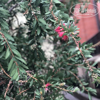 фото из отзыва ID 2701494