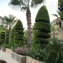 фото из отзыва ID 2705081