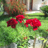 фото из отзыва ID 2705222