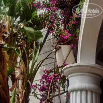 фото из отзыва ID 2705315