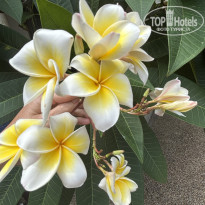 фото из отзыва ID 2705334