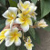 фото из отзыва ID 2705334