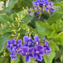 фото из отзыва ID 2705394