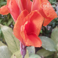 фото из отзыва ID 2705465