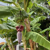 фото из отзыва ID 2705591