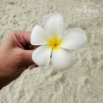 фото из отзыва ID 2705703