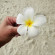 фото из отзыва ID 2705703