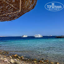 фото из отзыва ID 2705710