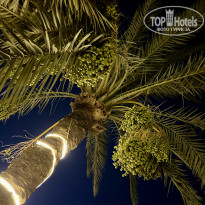 фото из отзыва ID 2705710