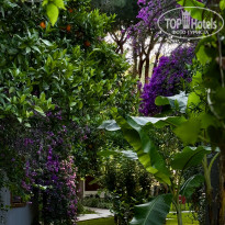 фото из отзыва ID 2705713