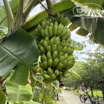 фото из отзыва ID 2705910