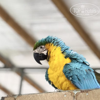 фото из отзыва ID 2705910
