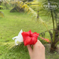 фото из отзыва ID 2705910
