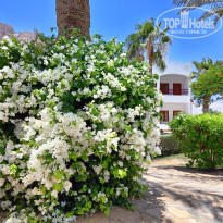 фото из отзыва ID 2706069