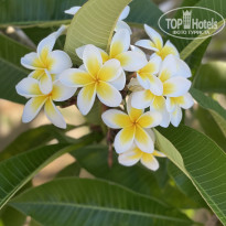 фото из отзыва ID 2708024