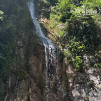 фото из отзыва ID 2706510