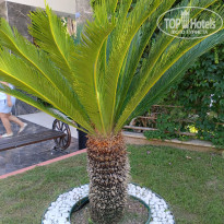 фото из отзыва ID 2706530