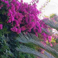фото из отзыва ID 2706530