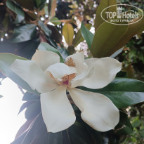 фото из отзыва ID 2706648