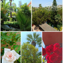 фото из отзыва ID 2706744