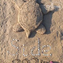 фото из отзыва ID 2706744