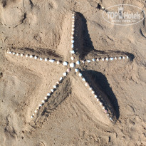 фото из отзыва ID 2706744