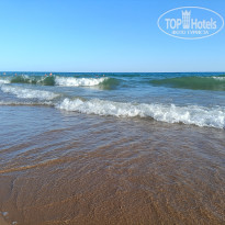 фото из отзыва ID 2706744