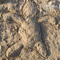 фото из отзыва ID 2706744